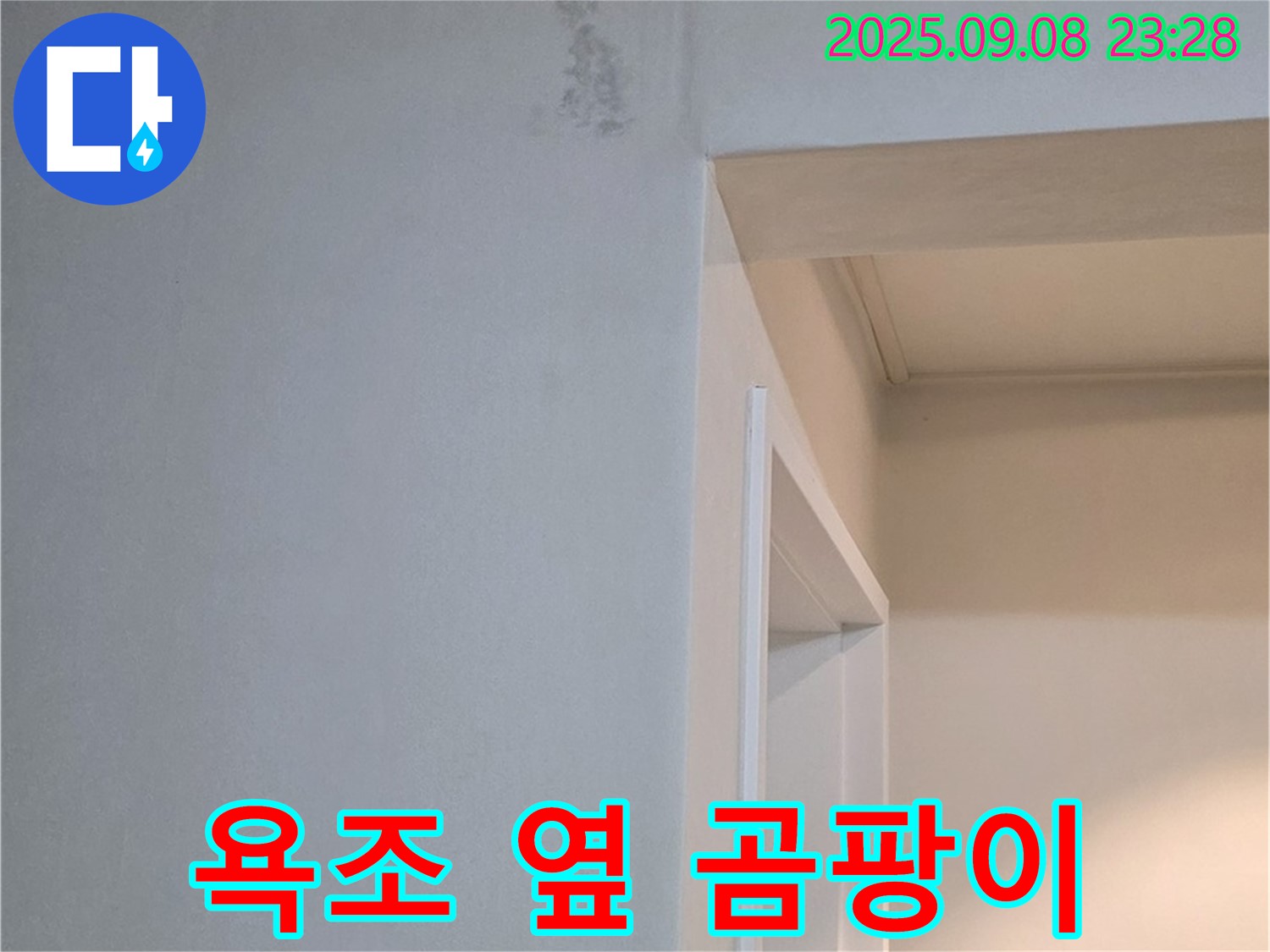 욕조 옆 곰팡이 - 완벽 제거, 재발 방지