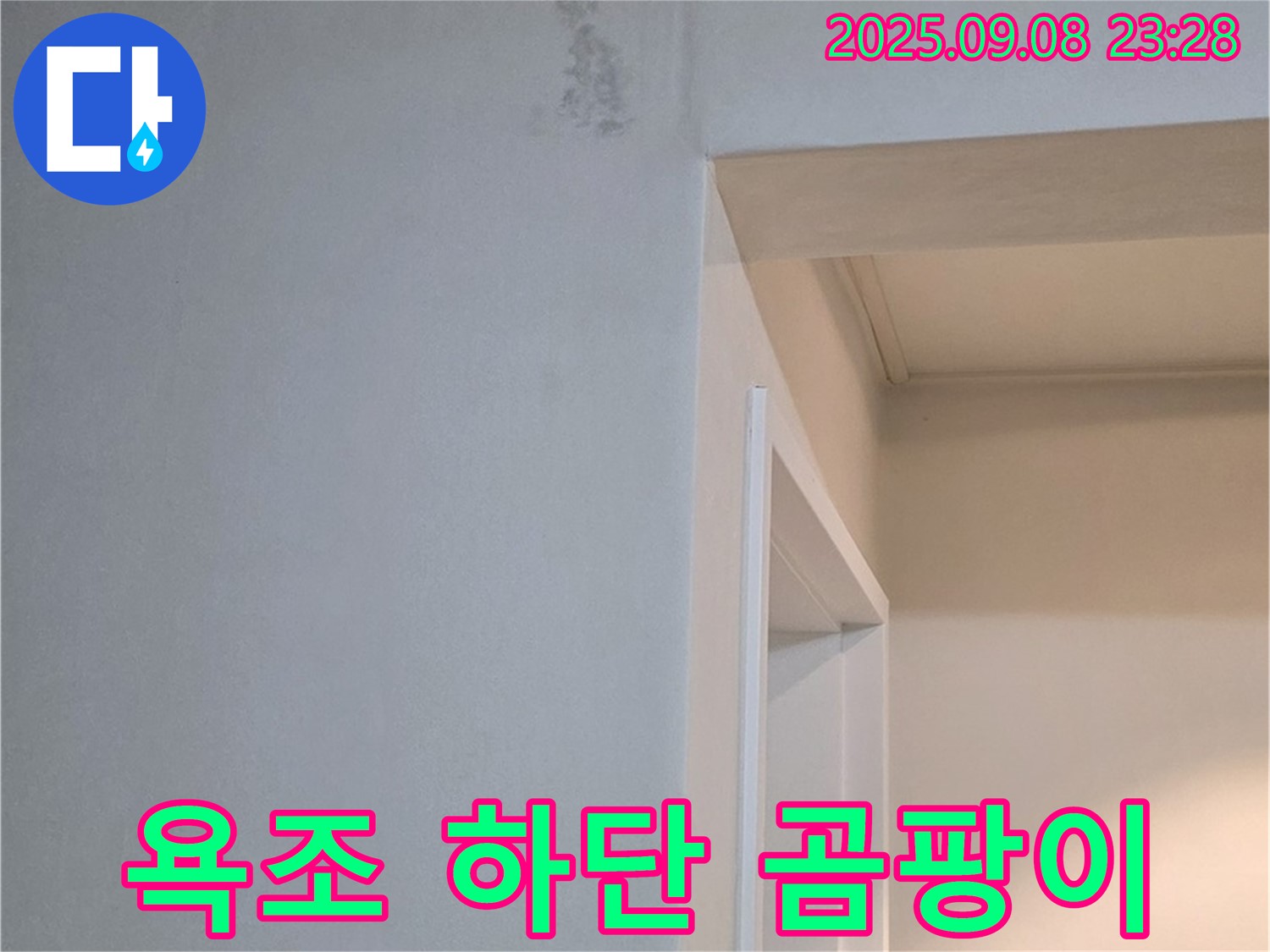 욕조 하단 곰팡이 - 안전한 곰팡이 제거
