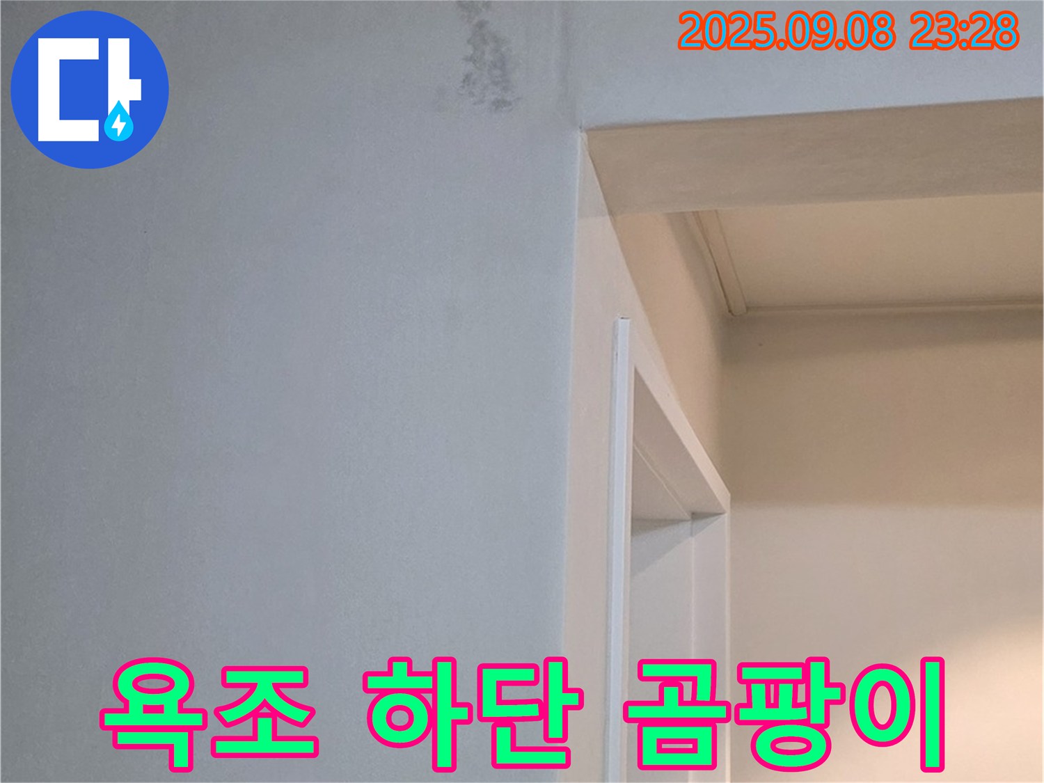 욕조 하단 곰팡이 - 재발 방지 책임