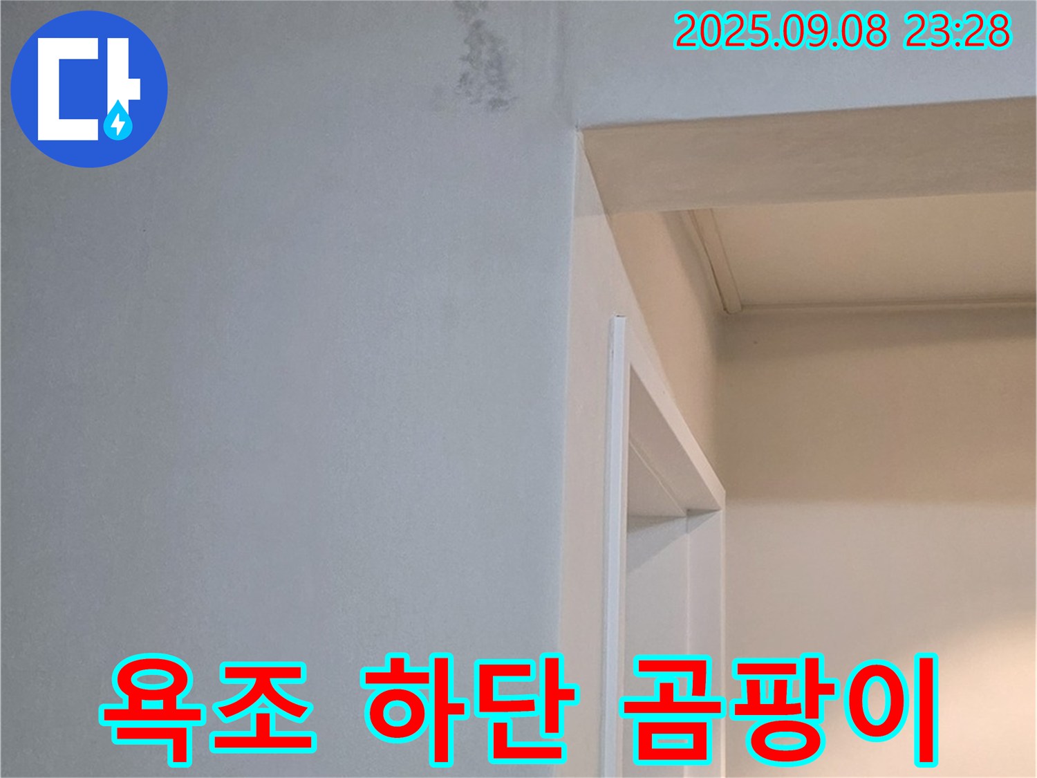 욕조 하단 곰팡이 - 천연 성분 제거