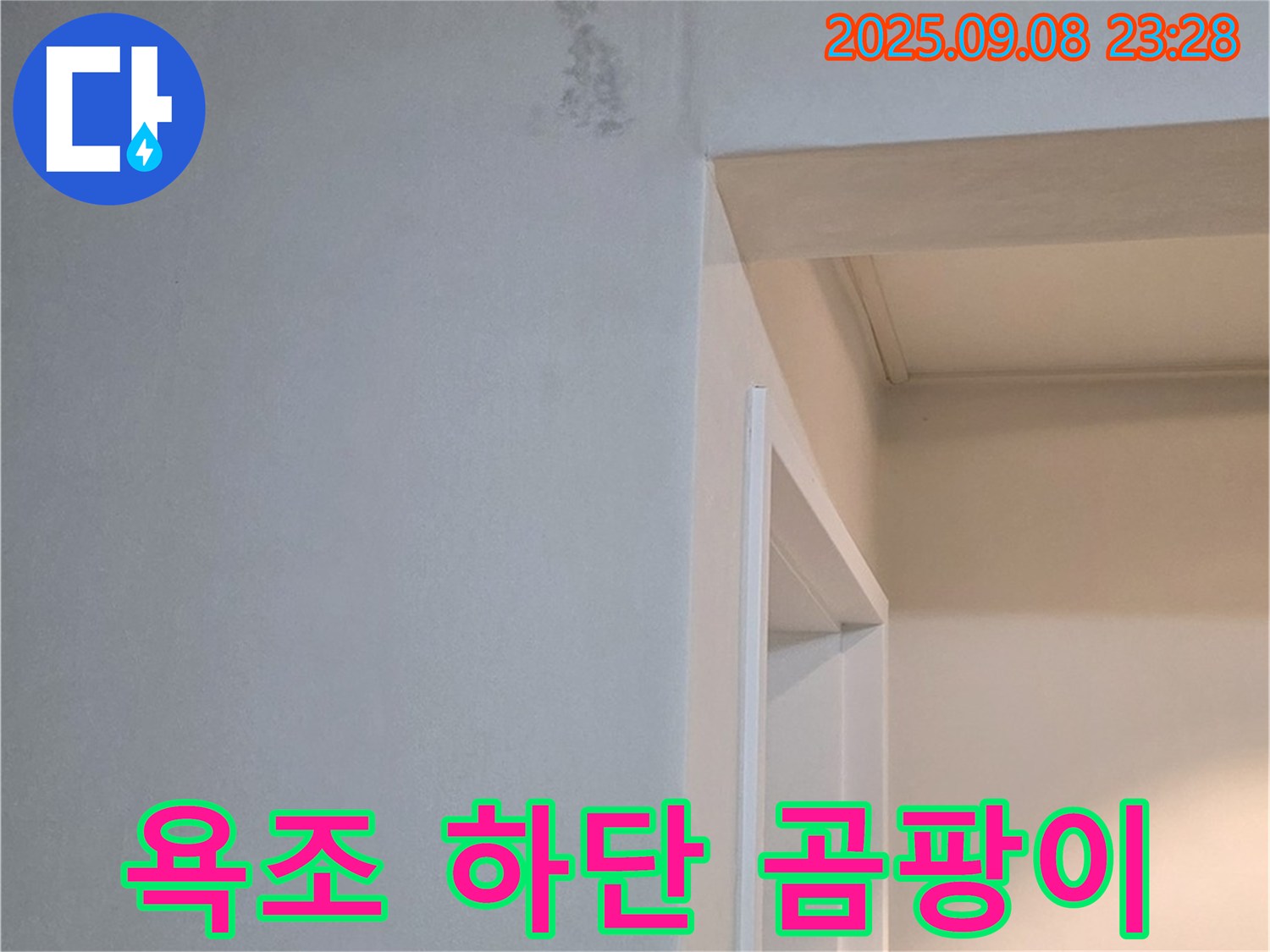 욕조 하단 곰팡이 - 친환경 약품 제거