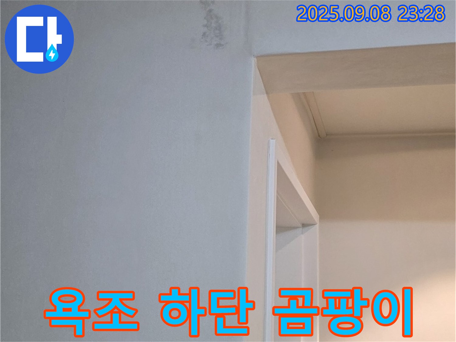 욕조 하단 곰팡이 - 친환경 약품 제거