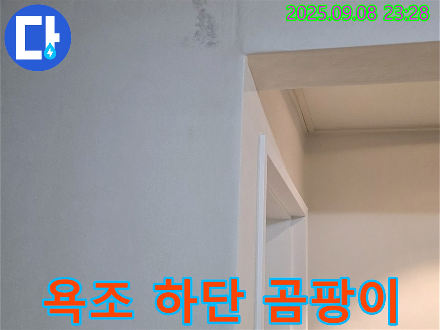 욕조 하단 곰팡이 - 프리미엄 코팅