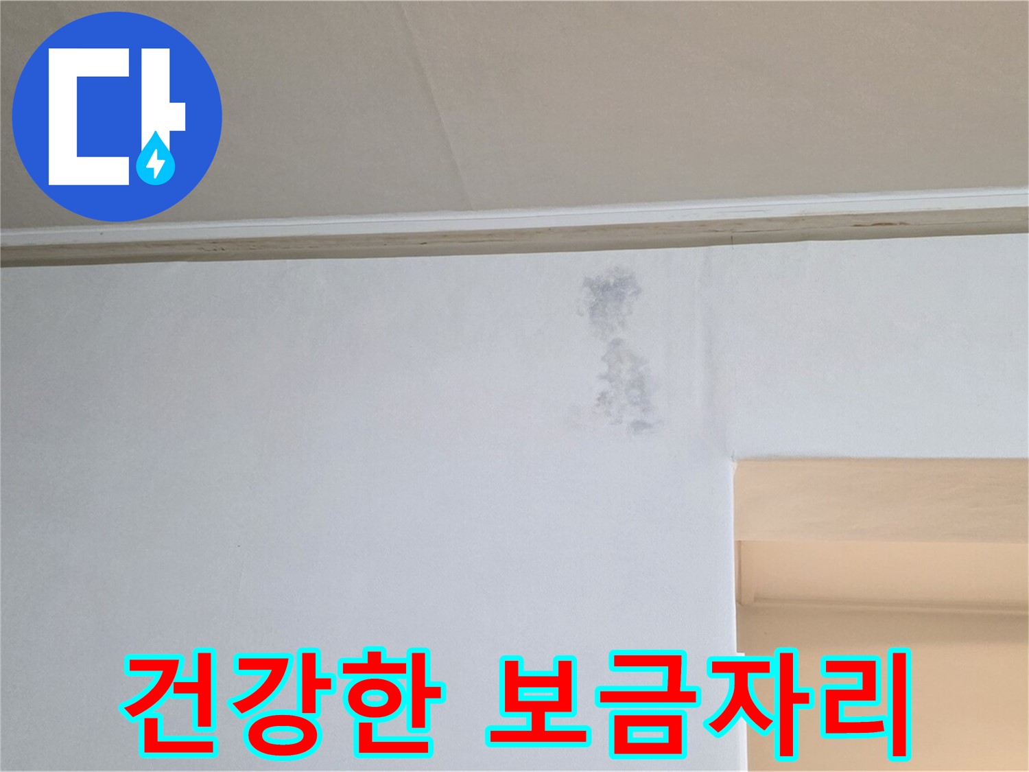 곰팡이 없는 건강한 보금자리 - 행복 만끽