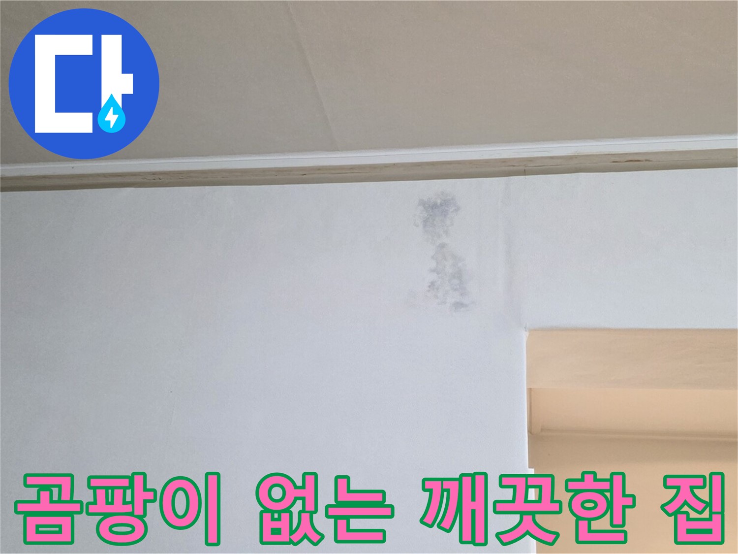 곰팡이 걱정 없는 깨끗한 집 만들기 - 누수 해결
