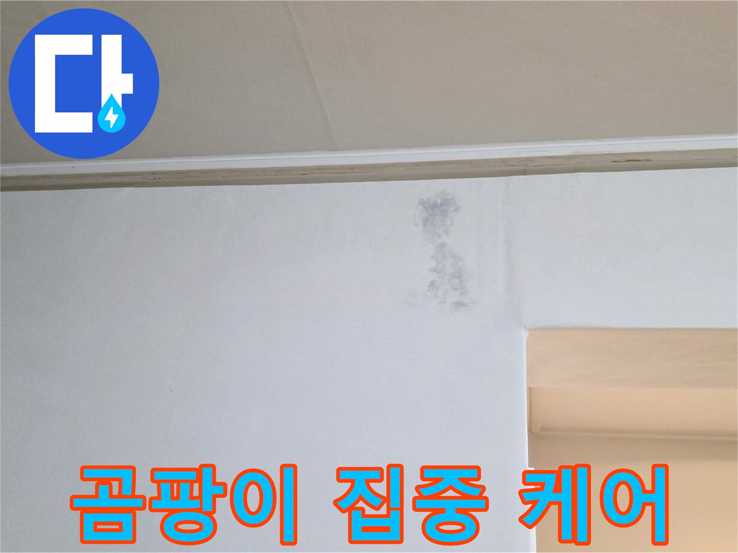 곰팡이 발생 부위 집중 케어 - 꼼꼼한 관리