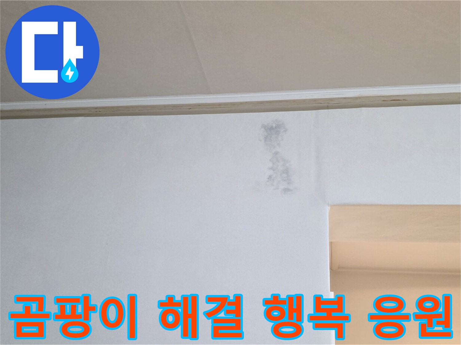 곰팡이 문제 해결 - 고객님의 행복한 삶을 응원합니다