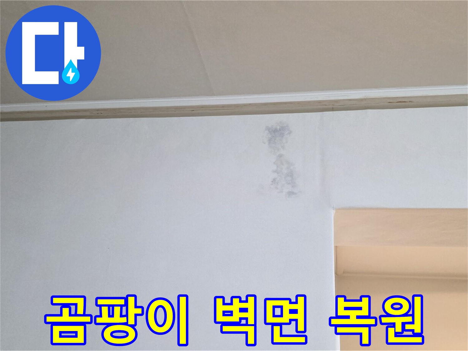 곰팡이 핀 벽면 완벽 복원 프로젝트 - 깨끗한 새 벽