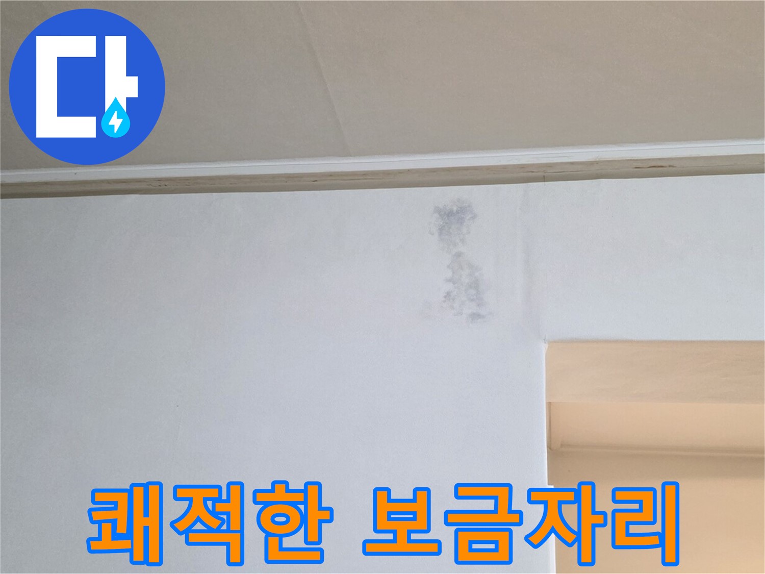 곰팡이 걱정 없이 쾌적한 보금자리 만들기 - 누수 해결