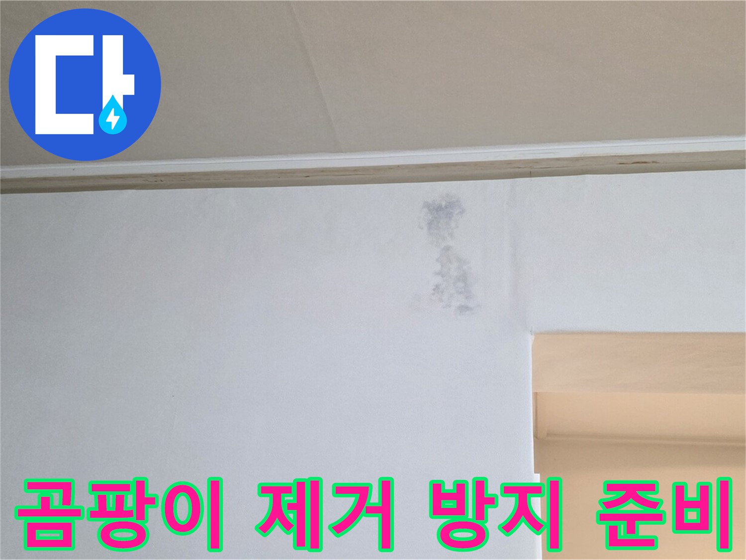 곰팡이 완벽 제거 및 재발 방지 시공 준비 완료 - 쾌적한 공간을 위해