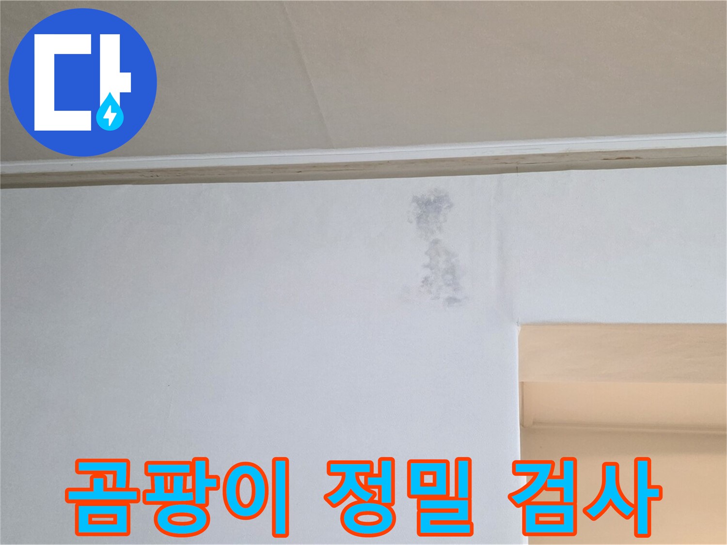 곰팡이 심각 - 정밀 검사로 누수 경로 파악
