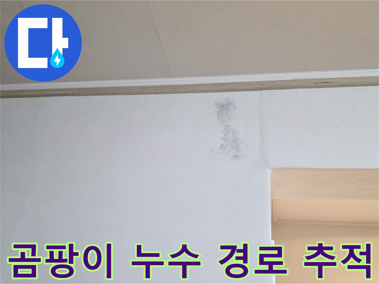 곰팡이 발생 원인과 숨겨진 누수 경로 추적 - 꼼꼼한 탐지