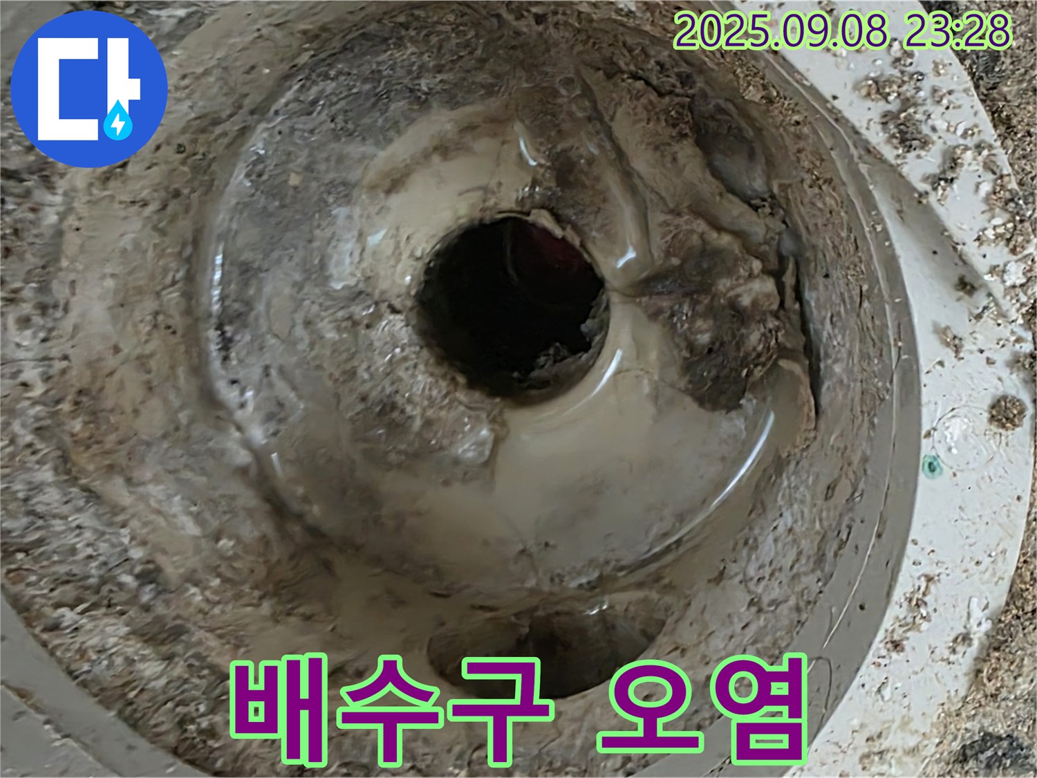 포천 일동 누수 - 심하게 오염된 배수구 청소