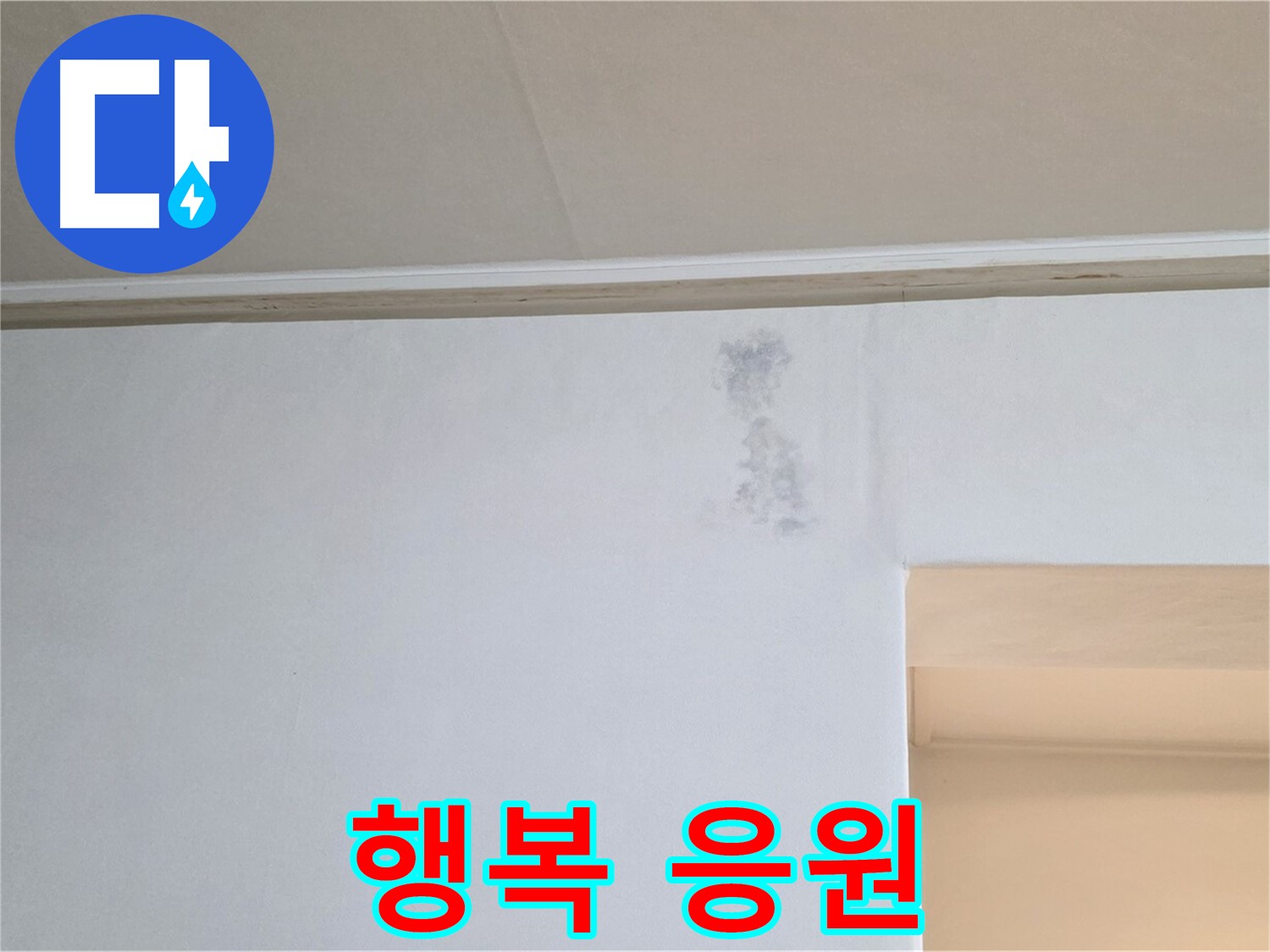 곰팡이 문제 해결 - 건강과 행복을 진심으로 응원합니다!