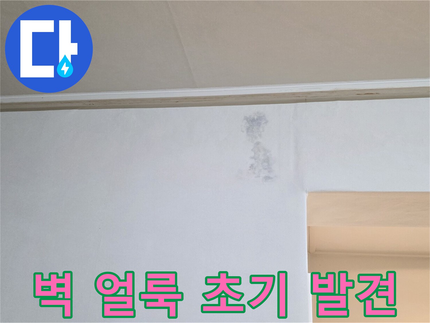 벽 얼룩 초기 발견 - 빠른 조치가 중요합니다