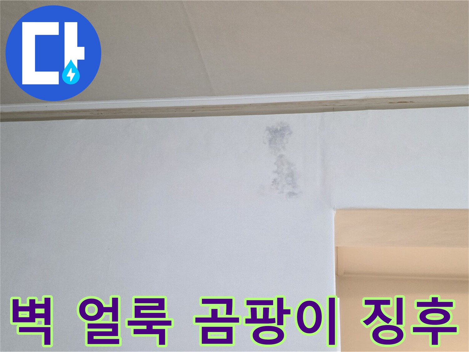 벽 얼룩과 곰팡이 발생 징후 - 초기 누수 발견
