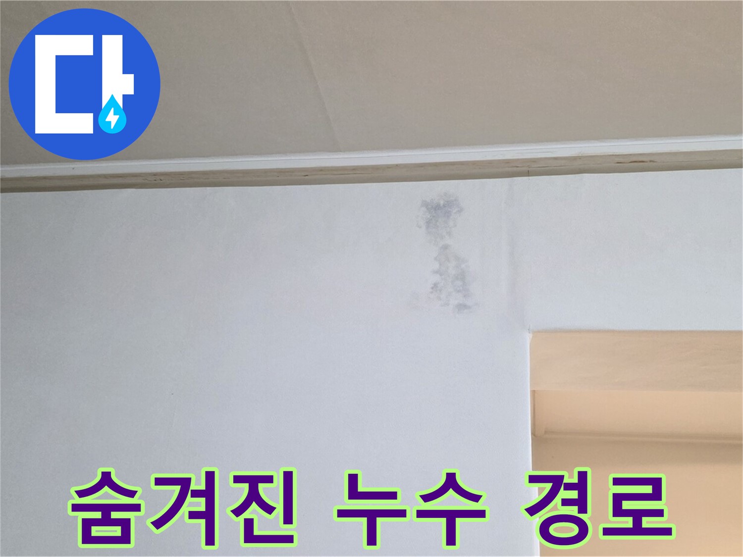 벽 내부 숨겨진 누수 경로 - 곰팡이 발생 원인 추적