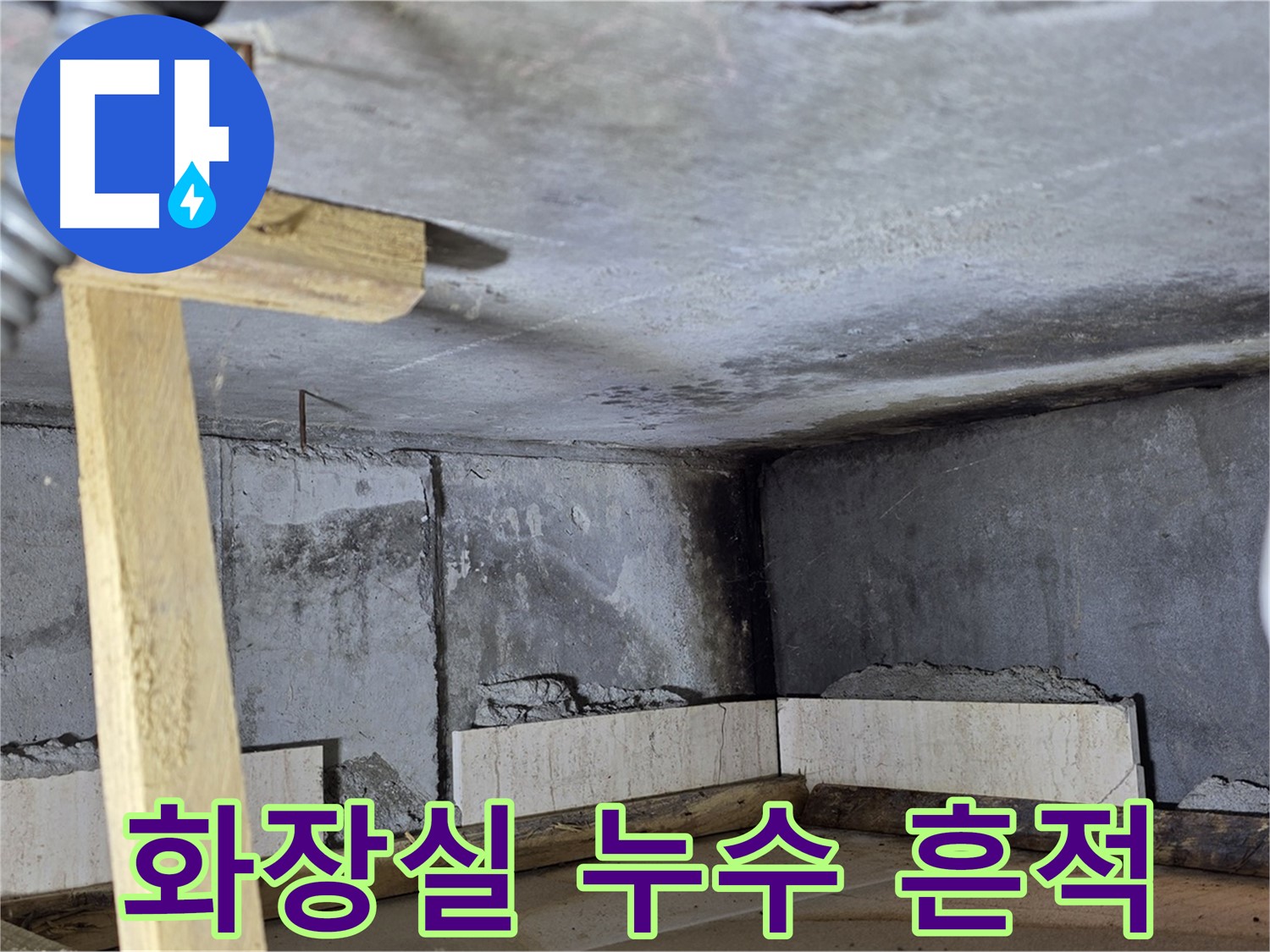 화장실 천장 내부 - 곰팡이