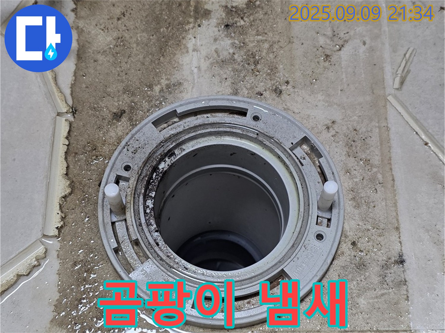곰팡이 냄새 - 누수로 인한 곰팡이 냄새