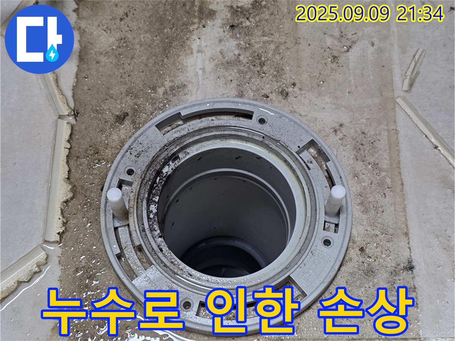 누수 손상 - 곰팡이와 물 자국으로 얼룩진 벽면