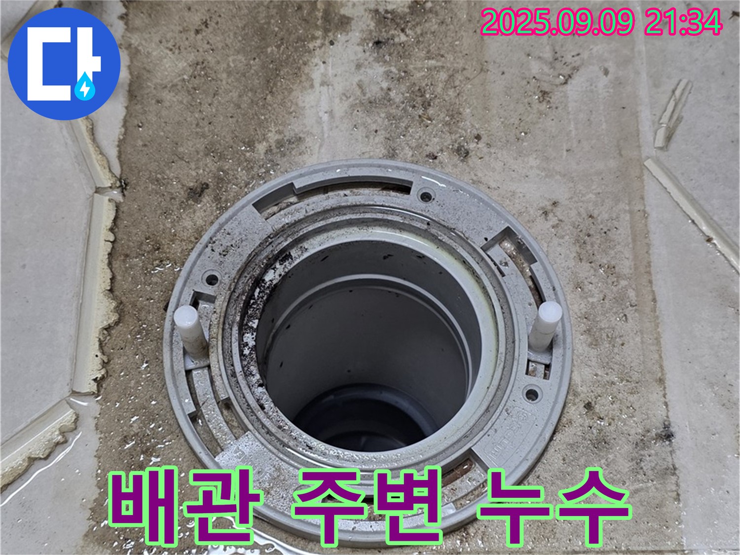 배관 주변 누수 - 심하게 오염된 타일과 곰팡이