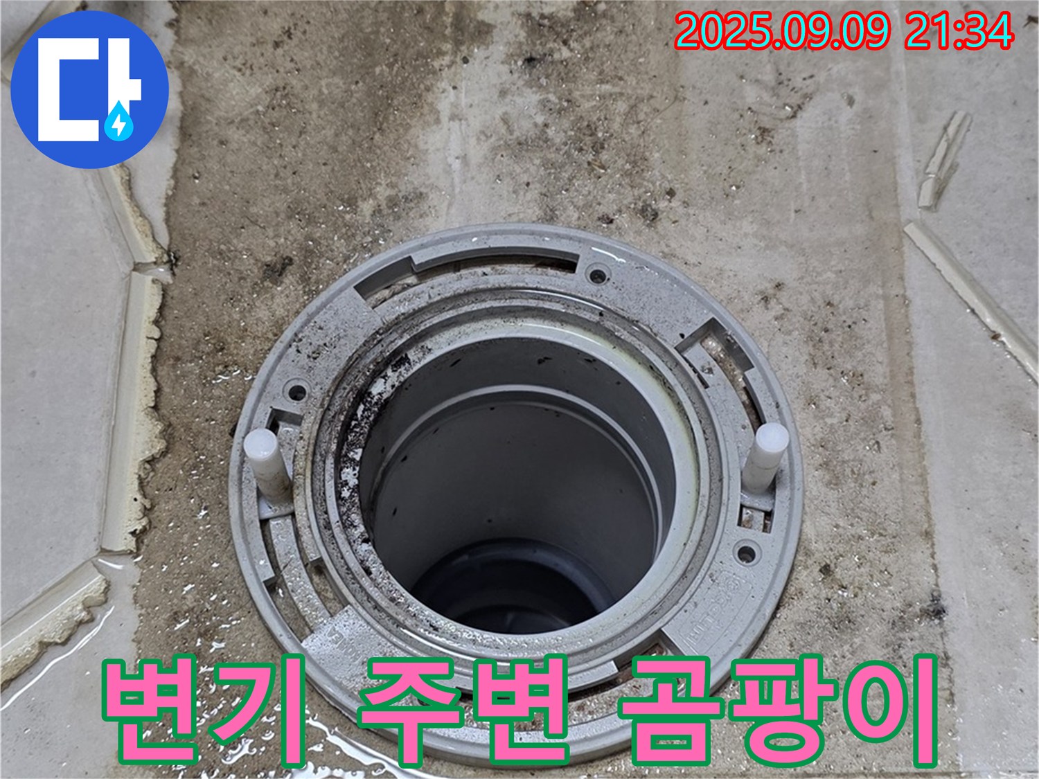 변기 주변 곰팡이 - 변기 주변의 곰팡이