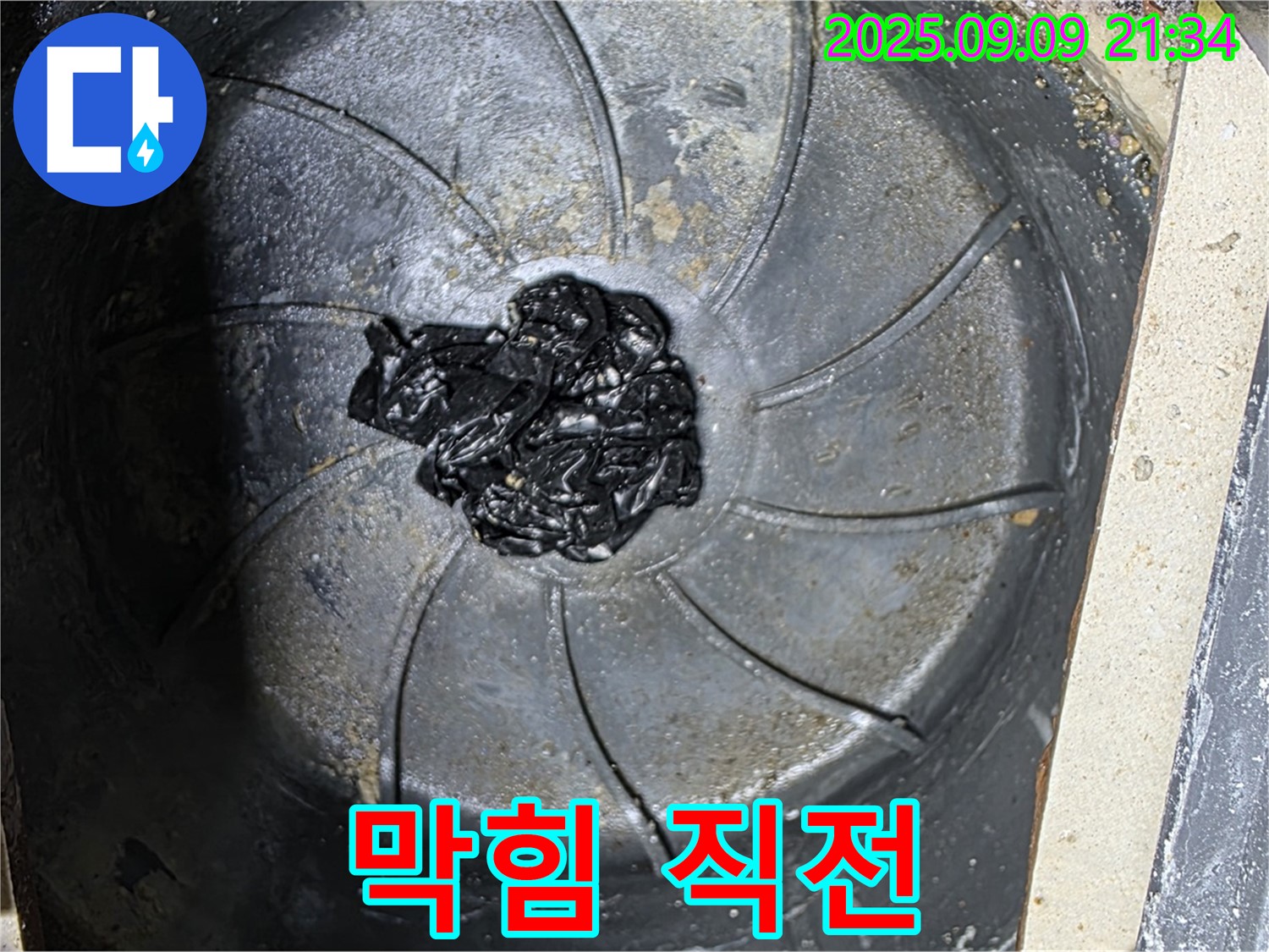 세탁실 하수구 막힘 직전 - 섬유 찌꺼기 가득
