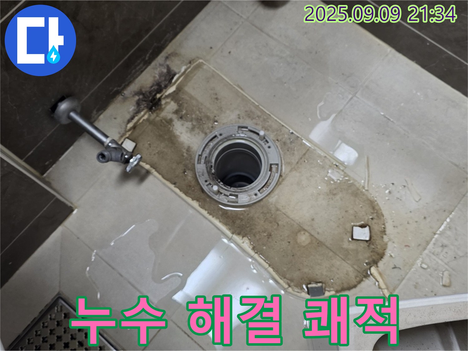 옥정동 율정마을 아파트 누수 - 변기 밑 물 고임, 누수 잡고 쾌적하게!