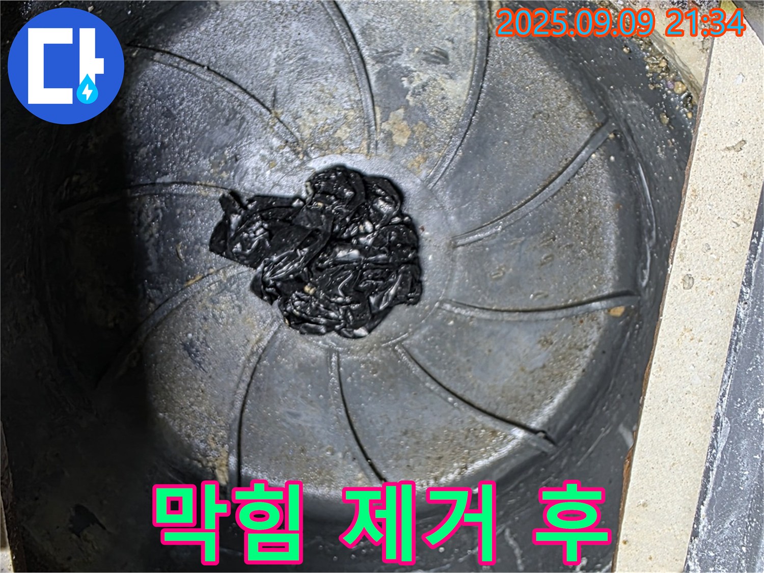 제거된 배수구 막힘 - 깨끗한 배수