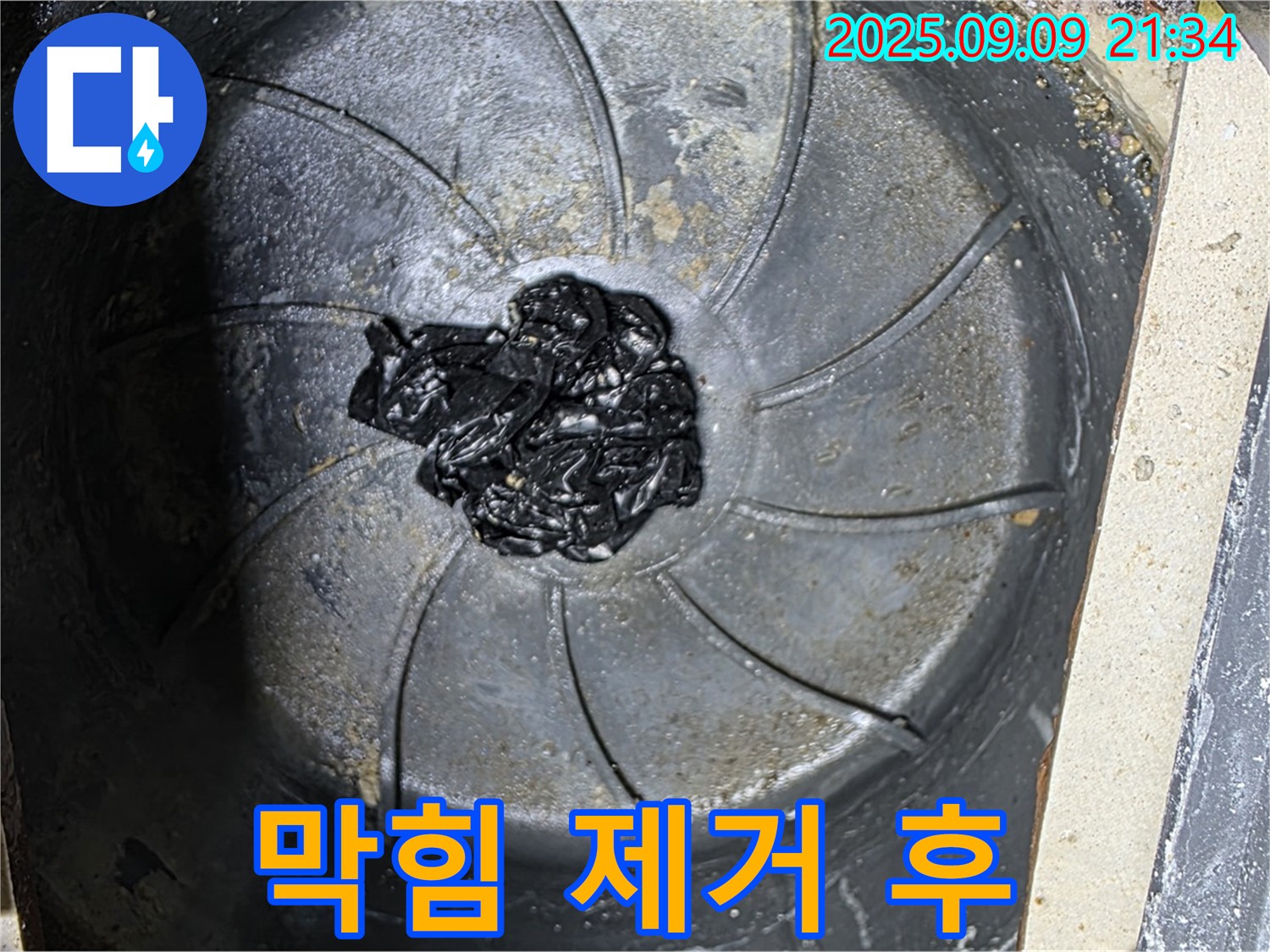 제거된 하수구 막힘 - 깨끗한 배수
