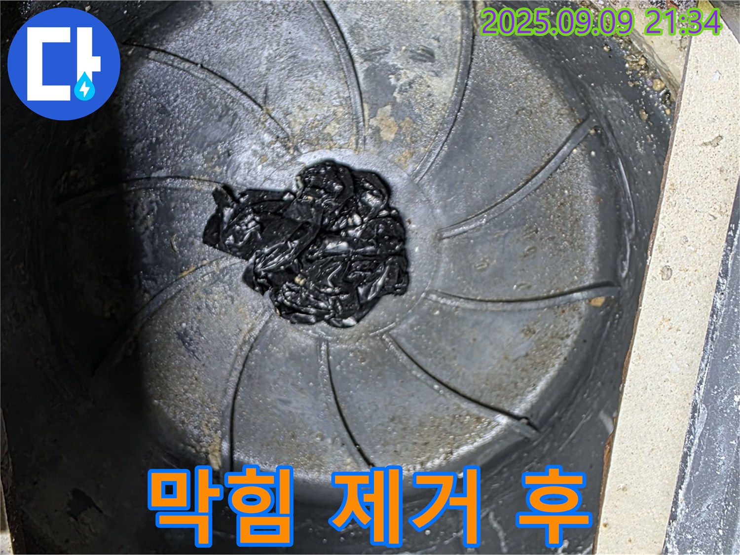 제거된 하수구 막힘 - 깨끗한 배수