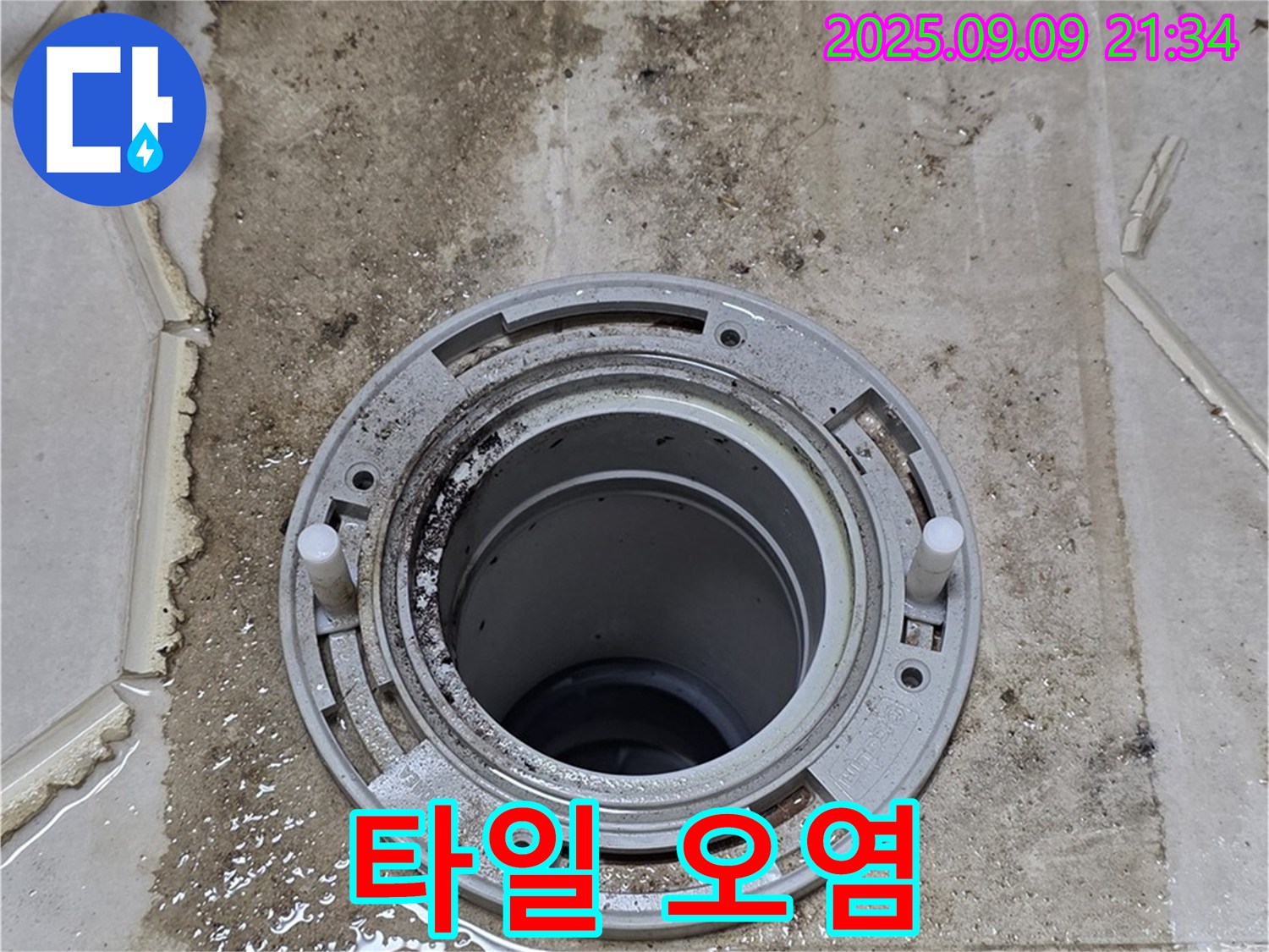 타일 오염 - 변기 주변 타일의 심각한 오염
