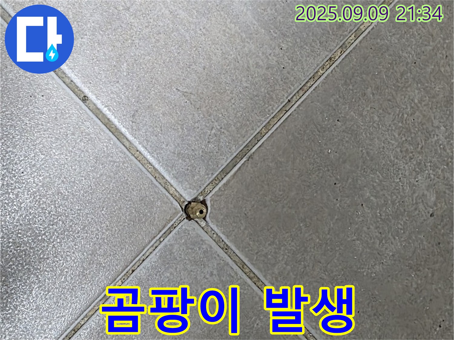 타일 접합부 누수 - 곰팡이