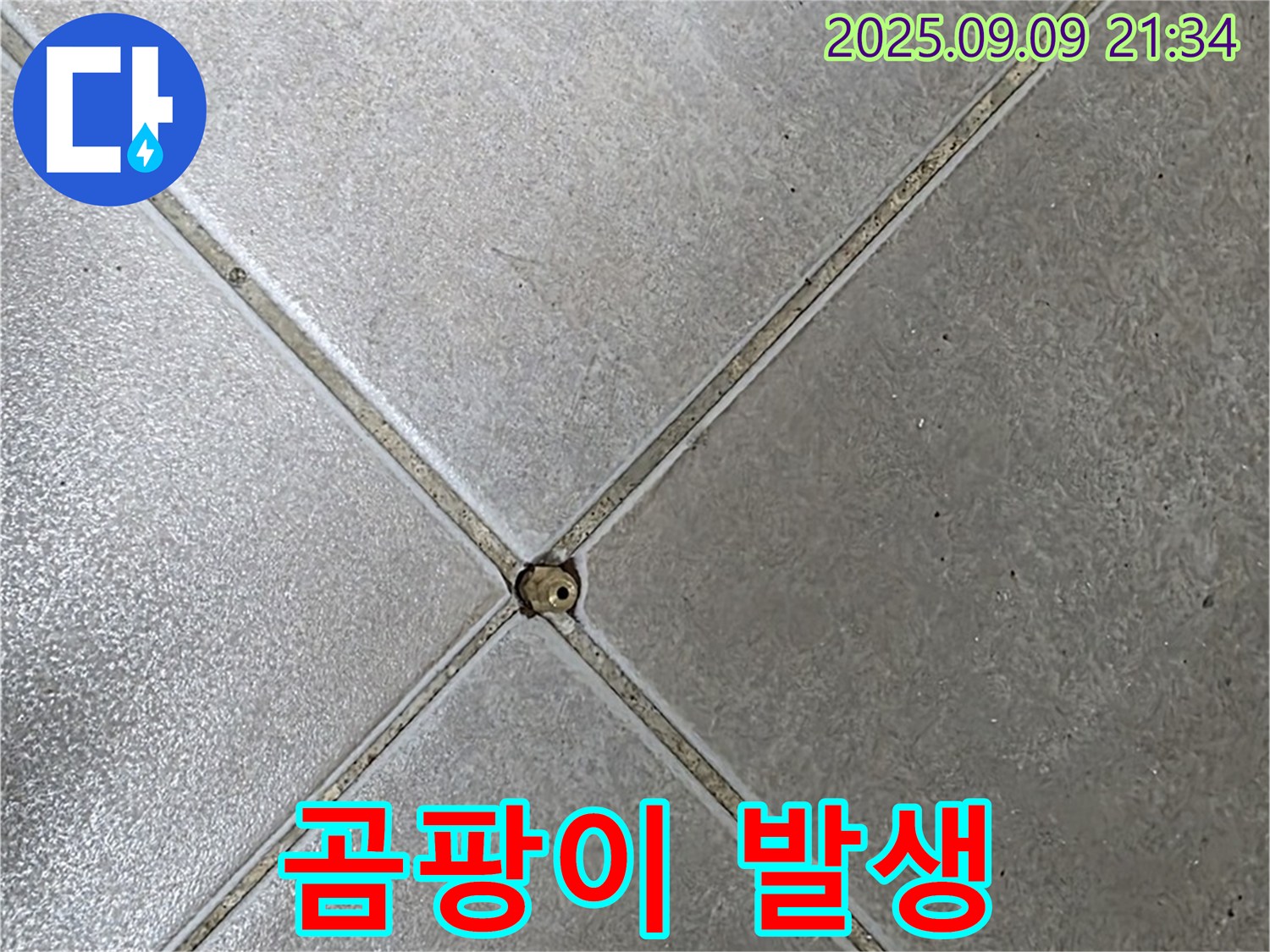 타일 틈새 누수 - 곰팡이
