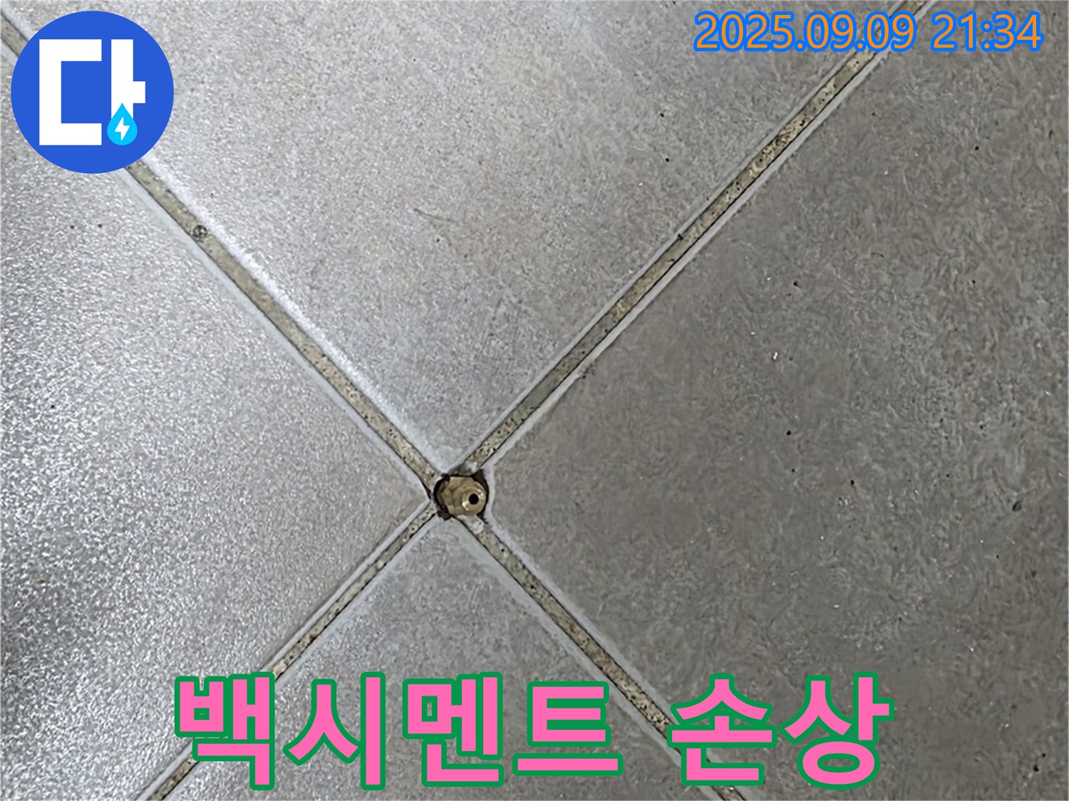 타일 틈새 누수 - 백시멘트 손상