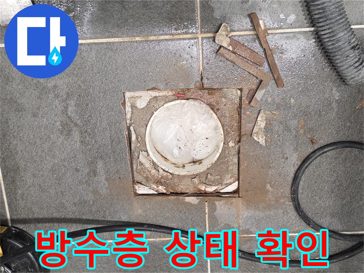 운정 욕실 배수구 누수 - 기존 방수층 상태를 꼼꼼하게 확인