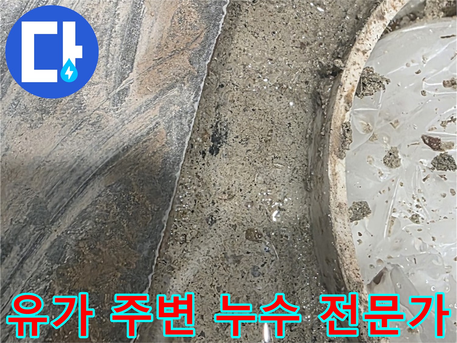 동패동 e편한세상 유가 누수 - 신뢰할 수 있는 전문가