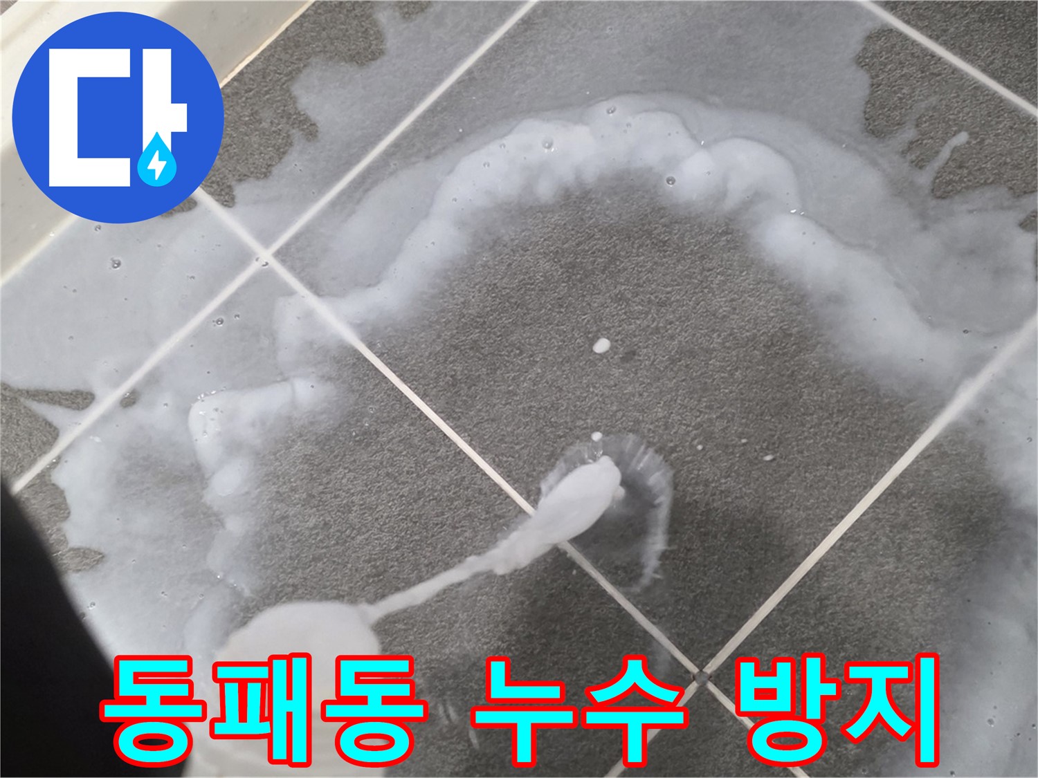 파주시 동패동 아파트 욕실 - 타일 틈새 방수로 누수 방지 시공 후기