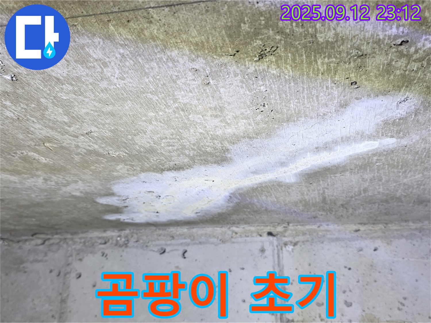 중계1동 현대5차 아파트 누수 - 콘크리트 곰팡이 - 초기 대응 중요
