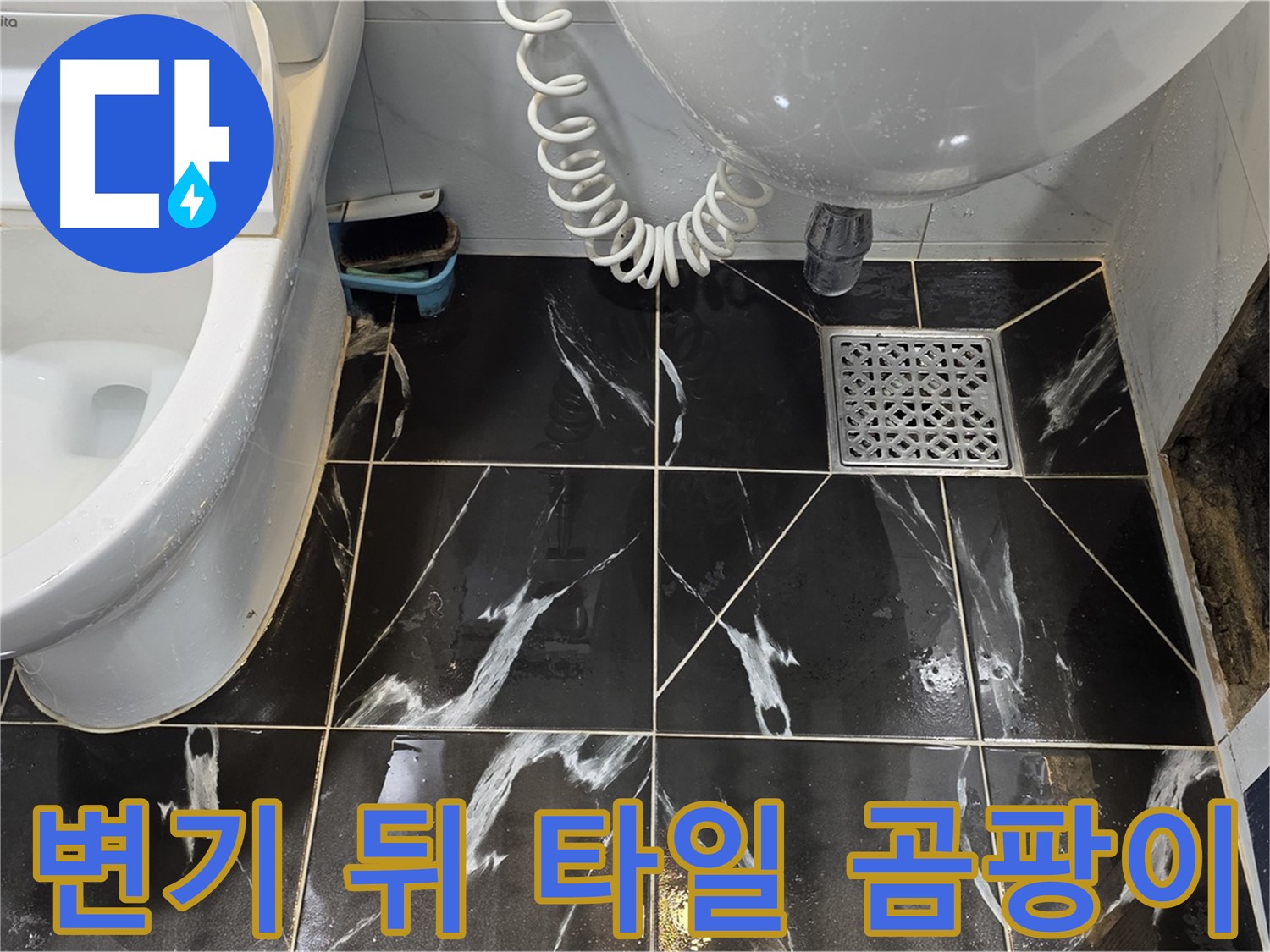 노원구 현대5차 변기 뒤 타일 곰팡이 - 누수 의심