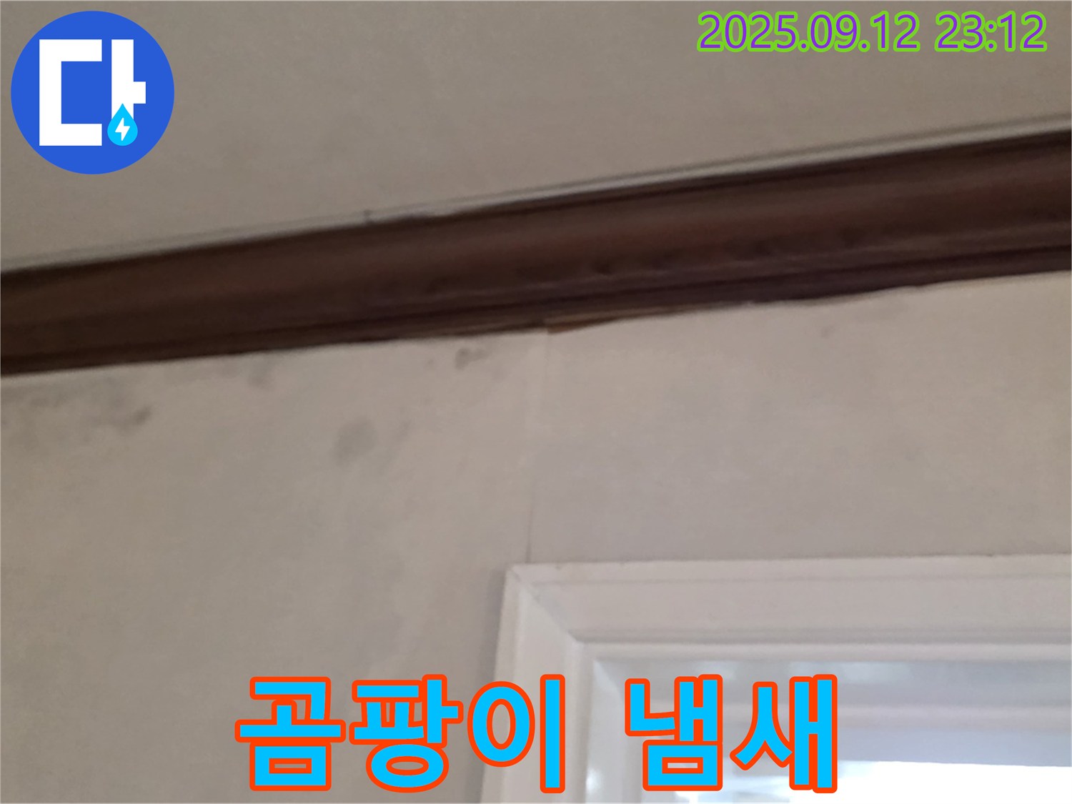 중계동 현대5차 211동 천장 누수 - 곰팡이 냄새