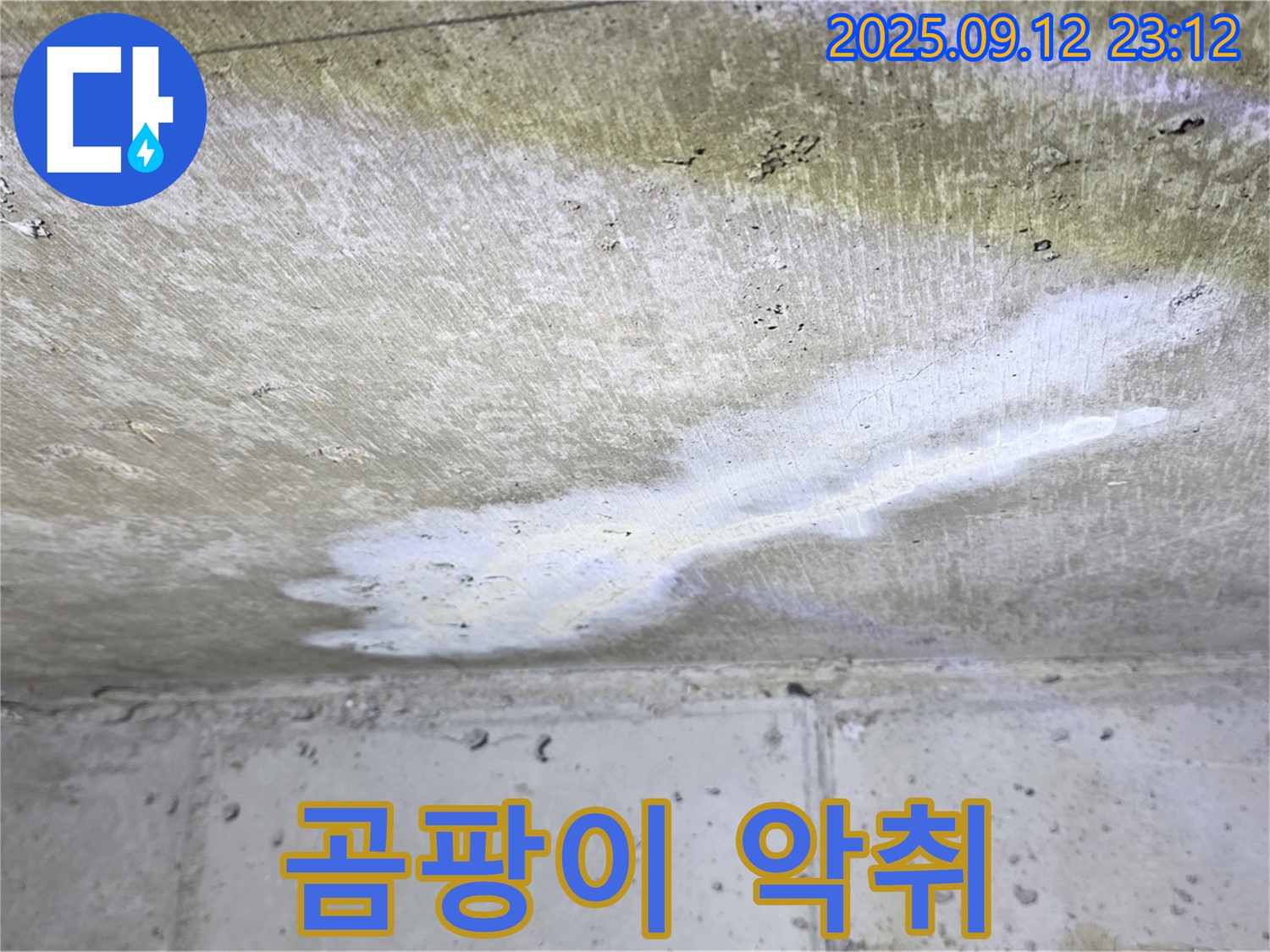 중계동 현대5차 아파트 누수 - 콘크리트 곰팡이 악취 - 건강 위협