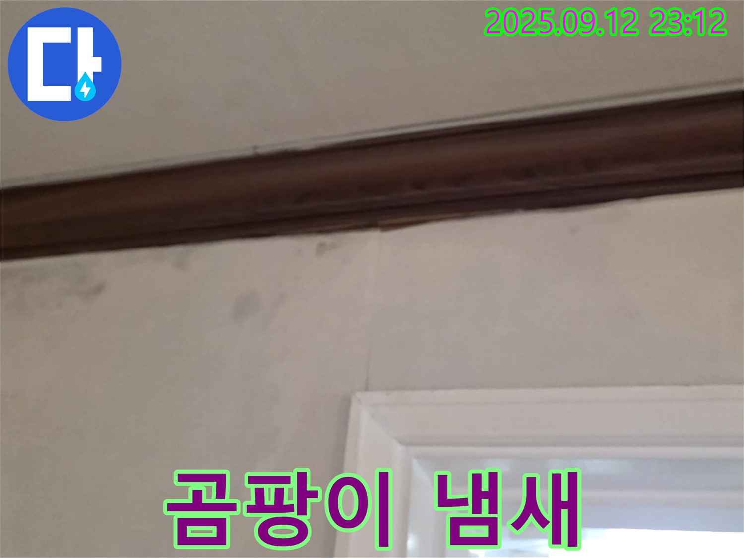 중계동 현대5차 아파트 벽 누수 - 곰팡이 냄새