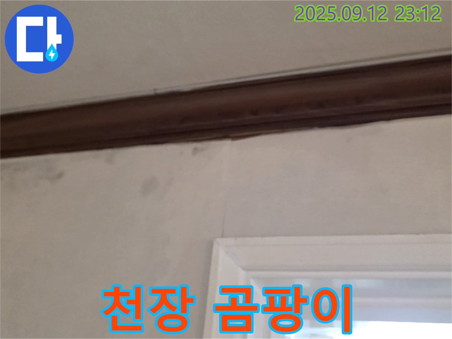 중계동 현대5차 아파트 천장 누수 - 곰팡이 발생