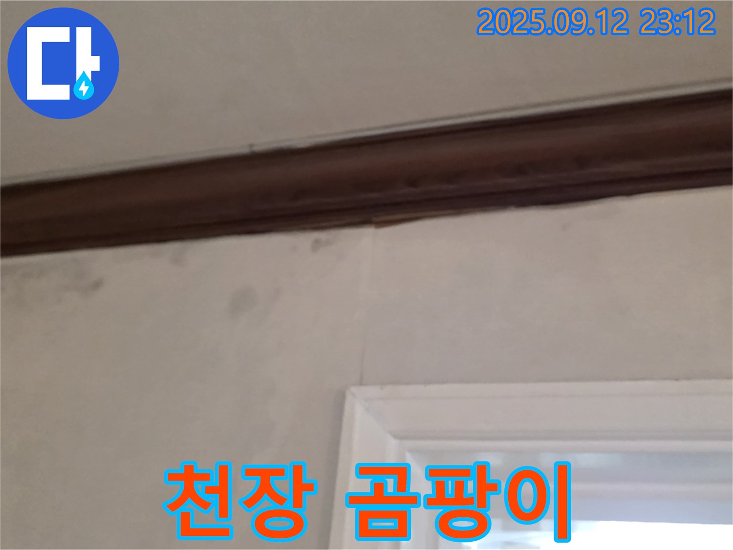 중계동 현대5차 천장 누수 - 곰팡이 핀 천장