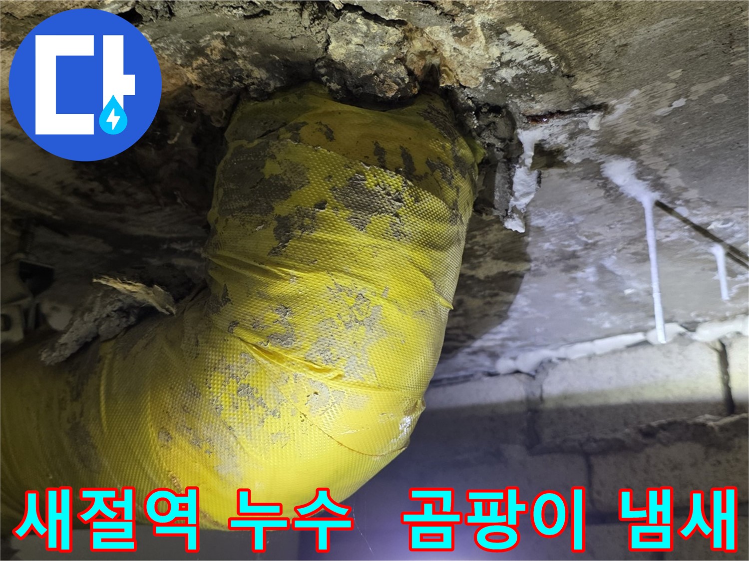 곰팡이 냄새 진동 - 새절역 천장 누수 해결