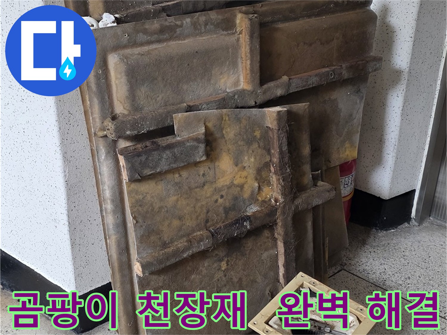 곰팡이 핀 천장재와 조명 - 누수 완벽 해결