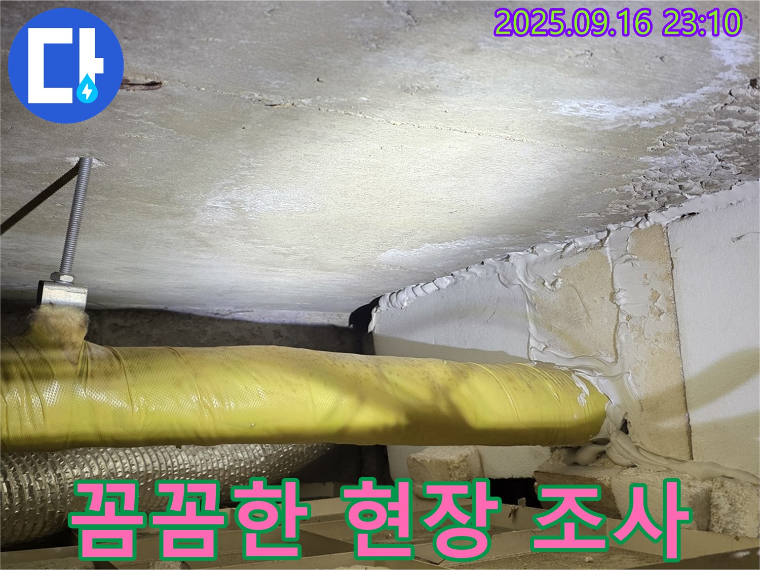 꼼꼼한 현장 조사 - 천장 누수 현장을 꼼꼼하게 조사하는 모습