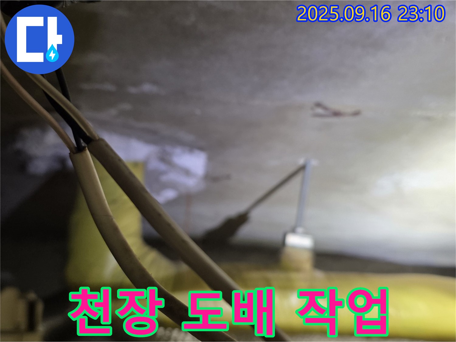 새절역 현대아파트 천장 도배 - 곰팡이 제거 - 깨끗한 천장 완성