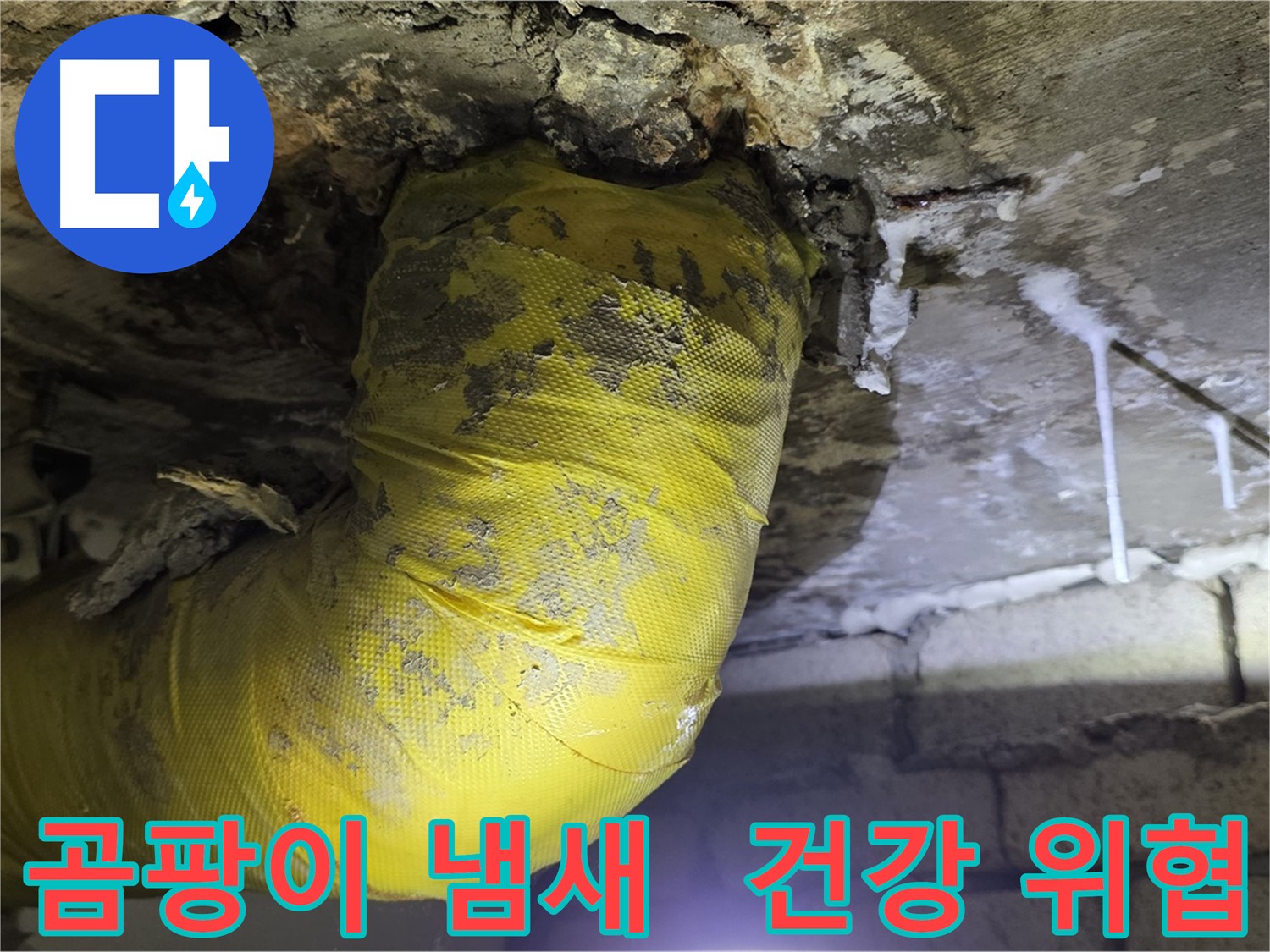 곰팡이 냄새 진동 - 은평구 누수, 콘크리트 균열, 건강 위협
